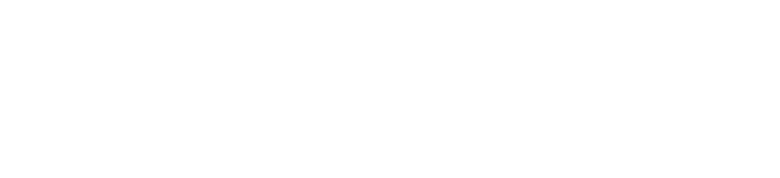 Sonja Merz Consulting