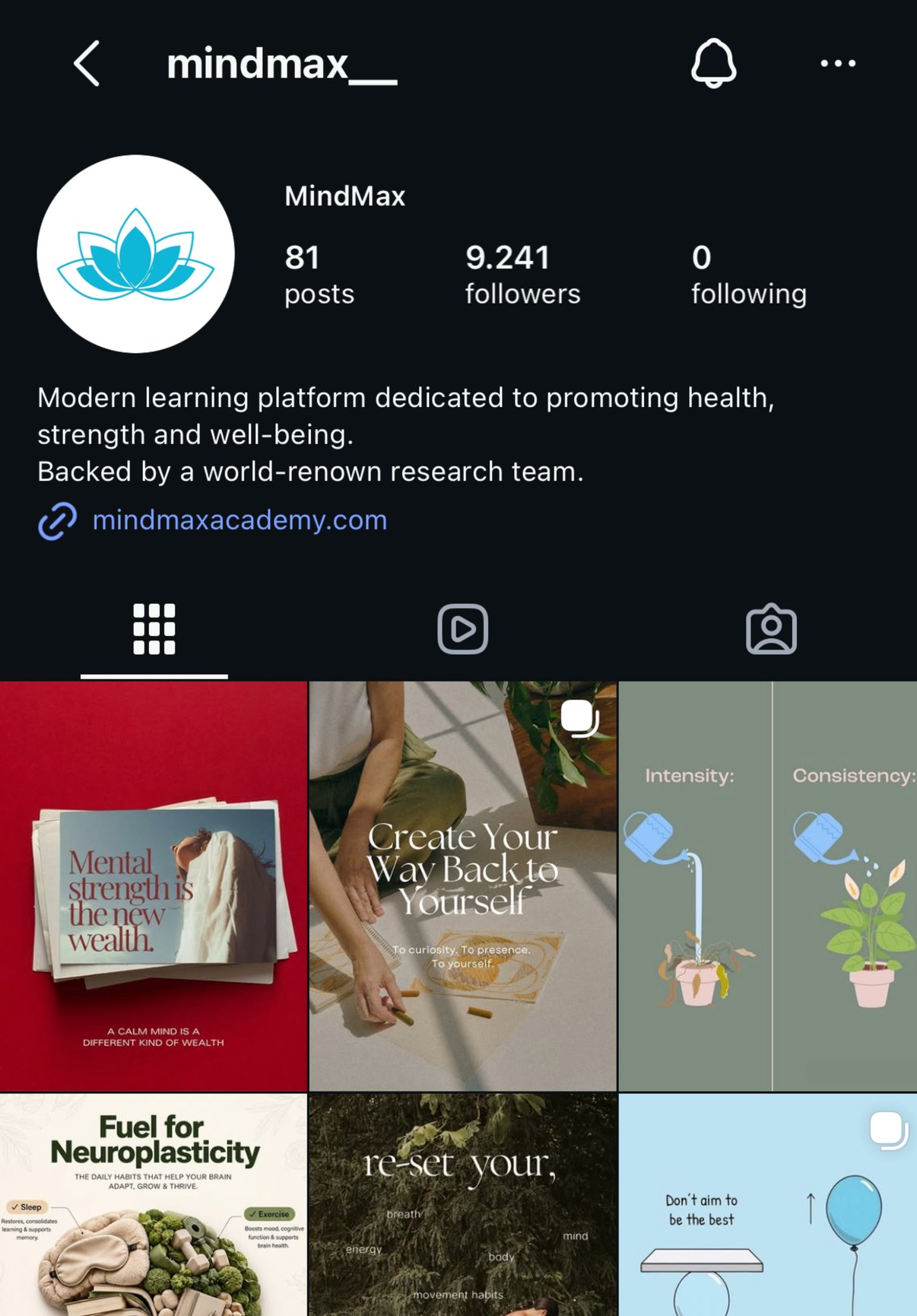 Instagram-Profil von MindMax